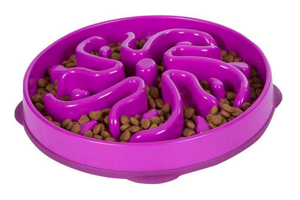 Outward Hound Fun Feeder Slo Bowl, Slow Feeder Dog Bowl, Large/Regular,  Purple