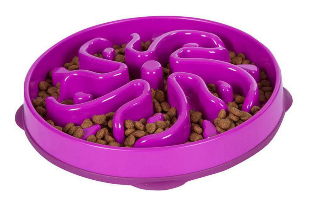 Outward Hound Fun Feeder Slo-Bowl, Large, Purple