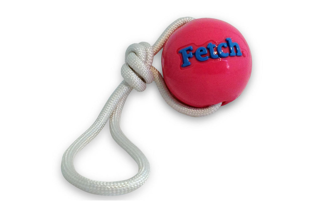Orbee Tuff Fetch Dog Ball by Planet Dog in Pink