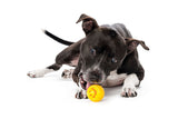 Orbee Happiness Ball