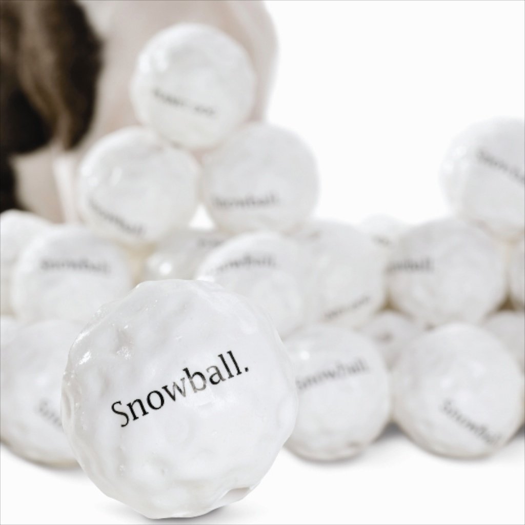 Orbee Snow Ball – Indestructible Dog