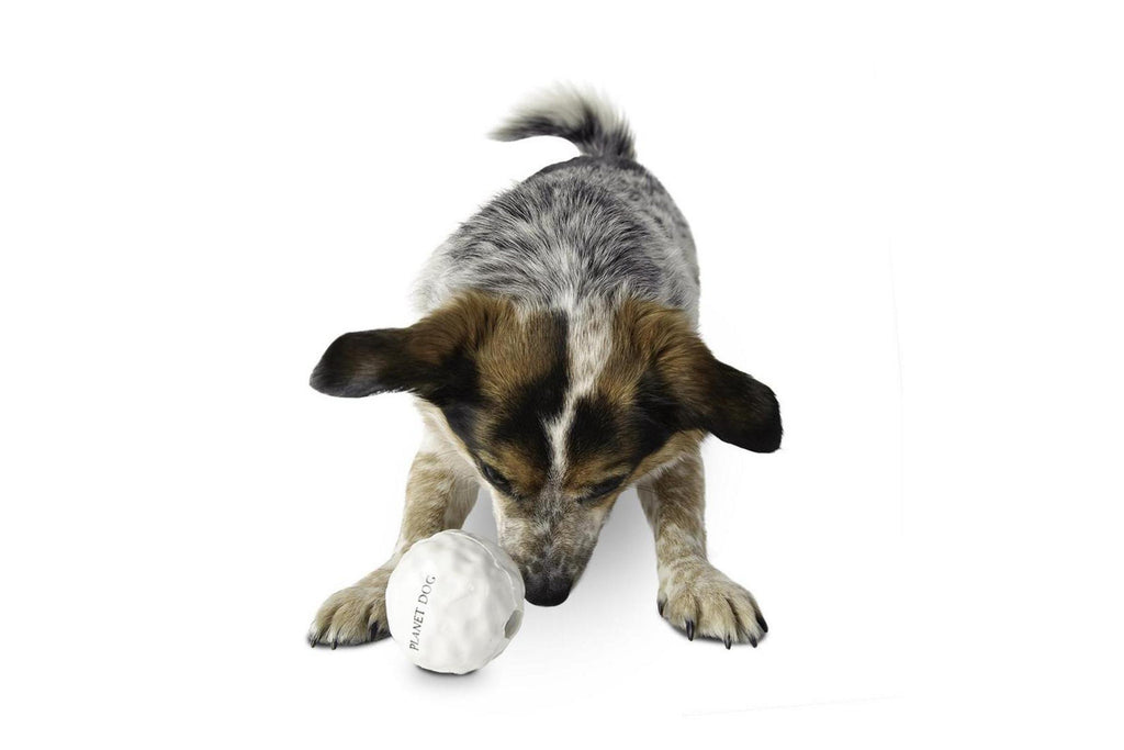 Orbee Snow Ball – Indestructible Dog