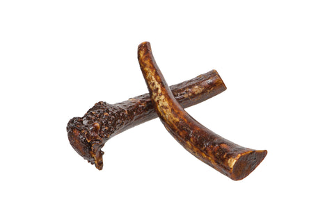 Bully Coated Whole Antler