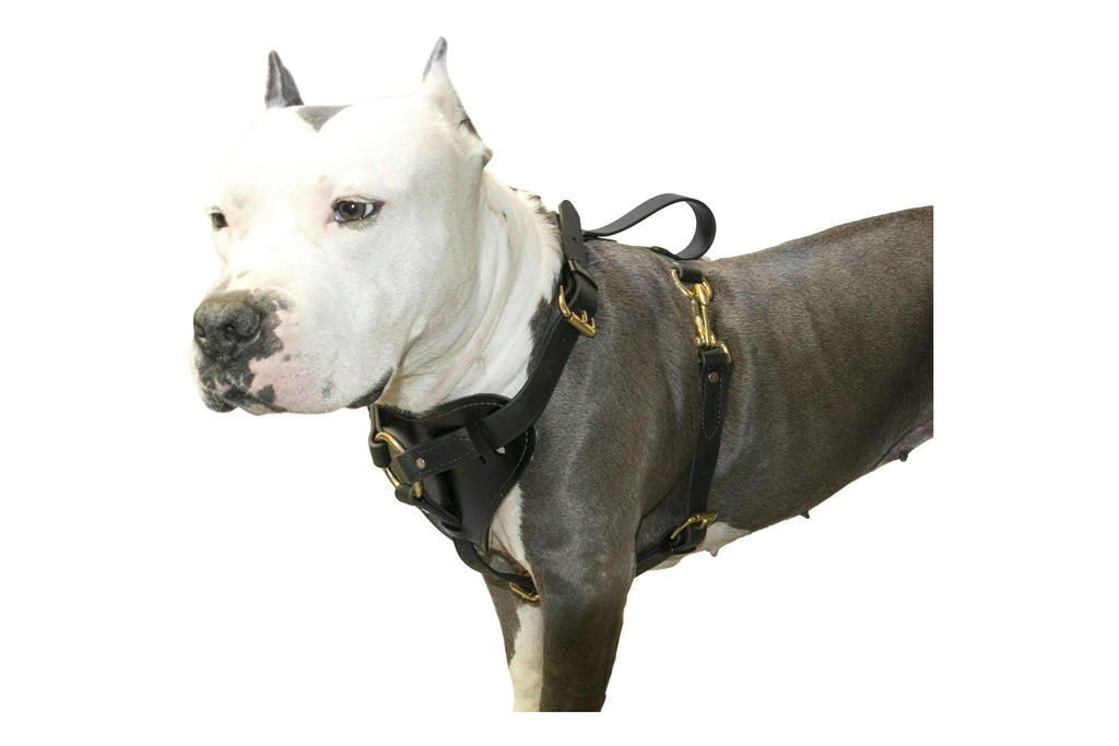 Surge Biothane Working Dog Harness