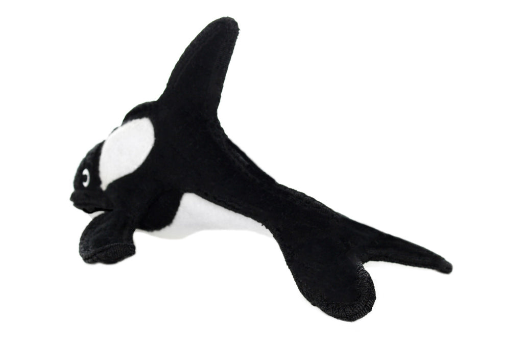 Ocean Creature Killer Whale