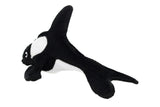 Ocean Creature Killer Whale
