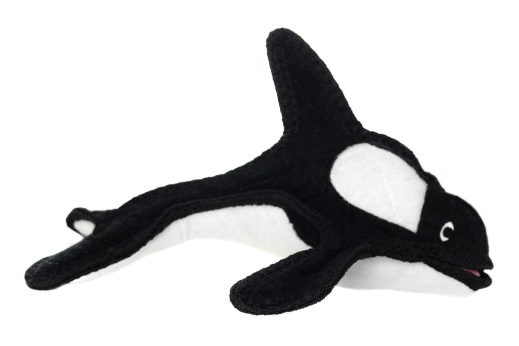 Ocean Creature Killer Whale