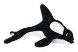 Ocean Creature Killer Whale